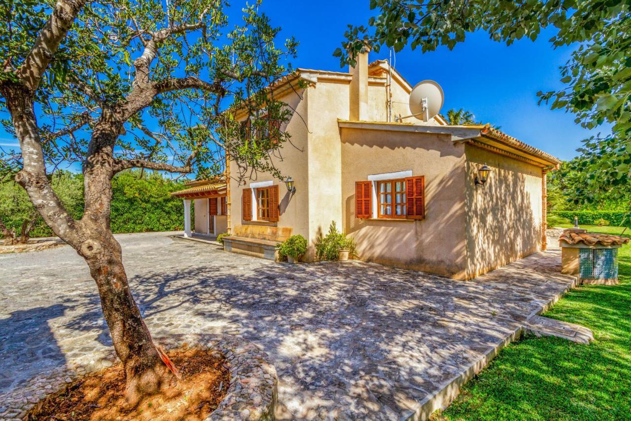 Ferienhaus Small King, House 5starshome Pollensa